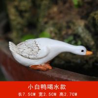 迷你小白鸭子动物摆件花园庭院盆栽鱼缸水景造景微景观假山装饰品 小白鸭喝水款(小号)