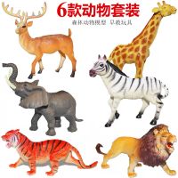儿童动物玩具模型老虎大象狮子套装仿真塑胶野生动物园男孩玩具 6款动物套装