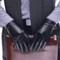 真皮手套男冬季保暖加绒加厚触屏羊皮手套男薄款骑行海宁皮手套男 黑色(Zp1706) M
