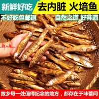 烟熏鱼干干货漓江鲮鱼干特产野生无油去内脏火培鱼淡水河鱼大号腊 烟熏超大号火培鱼 0.5斤全干无油香