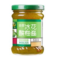 广味源金厨冰花酸梅酱250g瓶装冰梅酱梅子酱烧鹅烤鸭叉烧蘸料调味 金厨冰花一瓶装(5%的客户选择)