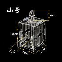 蛐蛐笼子蝈蝈笼蟋蟀笼蚂蚱蝴蝶笼鸣虫用具爬虫笼子透明亚克力笼子 小号蝈蝈笼