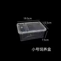 蚕宝宝宠物活体饲养盒透明 小学生科普课养蚕饲养盒 蚕子蚕卵专用 小号饲养箱19厘米1个