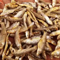 湖南特产不苦小鱼干货干鱼干干货不腥柴火鱼小鱼仔毛毛鱼小河虾干 150克/袋刷油火培鱼2-3人份