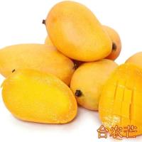 芒果树苗嫁接特大海南贵妃芒四季芒金煌芒果苗树矮化南方当年结果 台农芒(香蜜蜜) 2年苗[带土带叶]