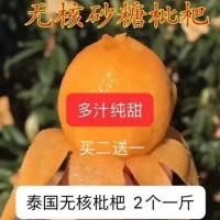 新品无核白砂糖枇杷果苗矮化白玉枇杷嫁接苗南北种植耐寒品种 无核白砂糖枇杷 一年苗一棵 (买二送一)
