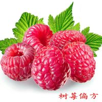 树莓苗双季树莓 产地吉林 保健去病偏方 当年结果 易成活 适应广 红树莓1棵苗