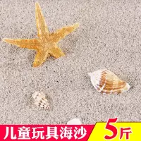 人造沙滩天然海沙玩具散沙白沙儿童乐园摆摊沙子游乐场批发真沙子 纯天然海沙5斤