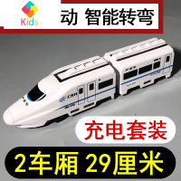 高铁和谐号电动轨道玩具小火车仿真儿童益智多功能2-4男孩子3-6岁真智力 29cm声光电动火车[送] 充电电池+充电器+