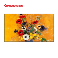 长虹欧宝丽质价比百吋壁画100Z60H