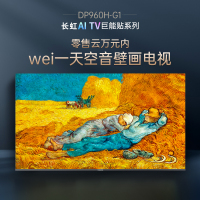 长虹电视65DP960H-G1