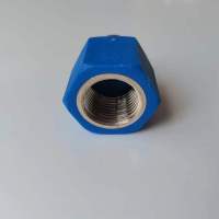 帮客材配惠而浦电热水器ESH-40/50/60/80MG/ES/EL/EH/EQ/E50W1/EW/EP防电墙接头(蓝)