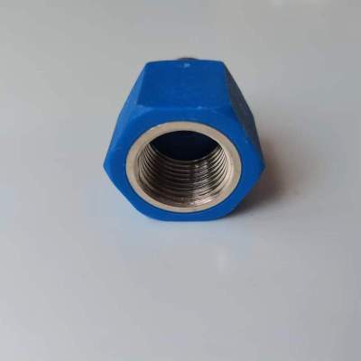 帮客材配惠而浦电热水器ESH-40/50/60/80MG/ES/EL/EH/EQ/E50W1/EW/EP防电墙接头(蓝)
