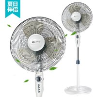 先锋电风扇FS40-11B(DD1101)