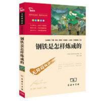 钢铁是怎样炼成的 八年级下册阅读(中小学生课外阅读 当当 钢铁是怎样炼成的 八年级下册阅读(中小学生课外阅读指导丛书)无