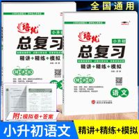 培优小状元 培优总复习语文 数学 英语精讲版+精练版+模拟试卷 语文