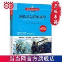 钢铁是怎样炼成的 语文 备考导读版 (中考真题回 当当 钢铁是怎样炼成的 语文 备考导读版 (中考真题回放及模拟)