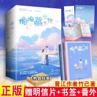 正版 偷偷藏不住 竹已 难哄 白日梦我 青春校园言情小说书 偷偷藏不住