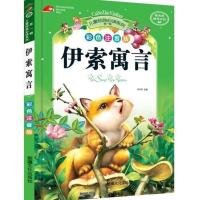 带拼音儿童故事书格林童话安徒生童话5-12岁儿童课外书籍彩图注音 伊索寓言