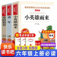 小英雄雨来爱的教育童年书六年级上必读课外书鲁滨逊漂流记孙汤姆 [六年级上册必读]小英雄雨来