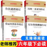 鲁滨孙漂流记正版六年级汤姆索亚历险记尼尔斯骑鹅旅行记爱丽必读 [单本]鲁滨逊