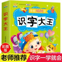 儿童学前识字大王0-3-6周岁幼儿园宝宝带拼音学前班幼小衔接教材 识字大王1020字