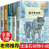 沈石溪动物小说正版狼王梦全本小学生一二三四五六年级课外阅读书 沈石溪激情动物小说C版5本套