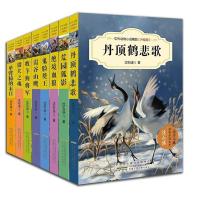 正版促销沈石溪等中外名著动物小说猎犬之魂全套8册课外阅读书 丹顶鹤悲歌8本一套