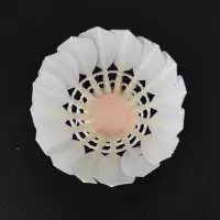 彩色羽毛球家庭用球球馆羽毛球训练羽毛球比赛羽毛球高速11只装 白色(6个)
