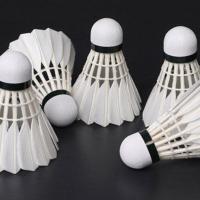 黑色鹅毛羽毛球户外专业比赛成人耐打羽毛球户外防风打不烂鹅毛球 3支装学习娱乐白鹅毛球