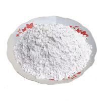 50斤生石灰粉猪圈屠宰场鱼虾蟹养殖消毒刷树刷墙净化水质干燥剂 50斤快递