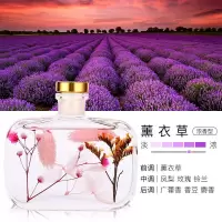 空气清新剂除异味香薰卧室持久留香家用室内衣柜衣物除味剂清香剂 [买1送1同款]安神助眠薰衣草