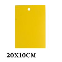 双面粘虫板大棚飞虫贴果园粘虫黄板灭小黑飞粘果蝇蓟马篮板诱虫板 长20厘米*宽10厘米 特惠装10张(不推荐购买)
