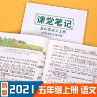 课堂笔记一二三四五六123456年级小学语文数学英语人教版2021上册 五年级上册 英语(人教PEP版)