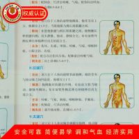 经络穴位速查手册人体全身经络穴位书籍中医推拿按摩养生书籍正版 [经络速查手册]