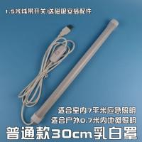 0.5米USB灯管 高亮5V充电宝供电LED长灯条 停电应急夜市摆地摊灯 普通款30cm长USB灯条-白光