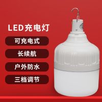 家用usb移动充电灯泡led停电应急灯泡超亮户外灯夜市摆摊地摊照明 80W