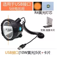 45w蓝光钓鱼灯头3.7伏10W电瓶紫光夜钓分体头USB充电宝直接灯 USB接口[10W黄光]5伏+卡片