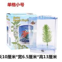 水族箱亚克力迷你办公桌封闭式斗鱼缸双透明隔离盒子小鱼缸 小号单隔盒