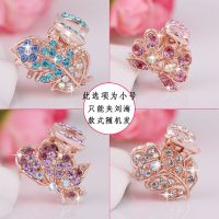 中号水钻抓夹发夹成人发饰复古风百搭顶夹盘发发抓碎发夹简约发卡 水钻抓夹随机2件(此款小号)