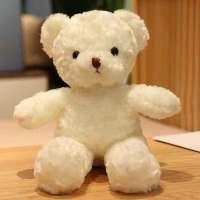 礼盒装小熊公仔玩偶娃娃毛绒玩具儿童女孩送闺蜜创意生日礼物女 小白熊 30厘米小熊[仅小熊]