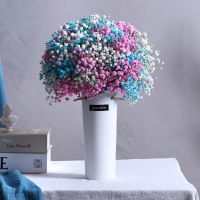 满天星干花花束真花鲜花大束客厅摆设装饰摆件生日礼物送人送女友 不带瓶 随机1束