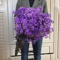 云南满天星干花大束家居装饰花客厅办公室真插花小清新满天星花束 进口优质满天星紫色 半斤