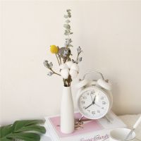 ins干花花束玫瑰装饰棉花小清新永生花瓷瓶风干天然北欧客厅摆设 尤加利莲蓬棉花含直瓶