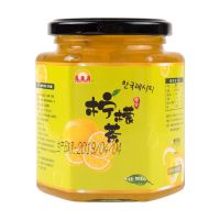 蜂蜜柠檬百香果柚子茶500g/瓶灌装饮品手工泡水喝的水果冲饮果茶 蜂蜜柠檬茶[500g