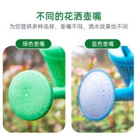喷壶浇水洒水壶浇花专用超大塑料浇菜浇水壶花洒壶 单买2个喷头+送肥料