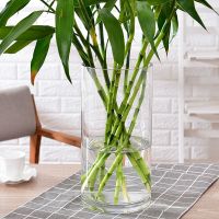 现代简欧特大号富贵竹花瓶摆件玻璃插花透明客厅落地家居创意摆设 口10高20
