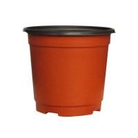 双色盆育苗盆营养钵建议圆形小花盆一次性塑料软加厚多肉种植托架 90号(100个) 送生根粉