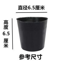 加厚营养杯育苗杯大号一次性花盆黑色种植塑料育苗袋育苗盆营养钵 8x8[直径6.5高6.5]50个