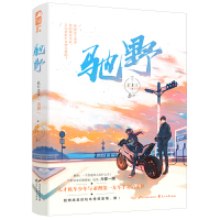 正版 驰野 丁十三 大鱼文化系列现代都市青春文学赛道竞技爱情高甜宠文言情小说书籍